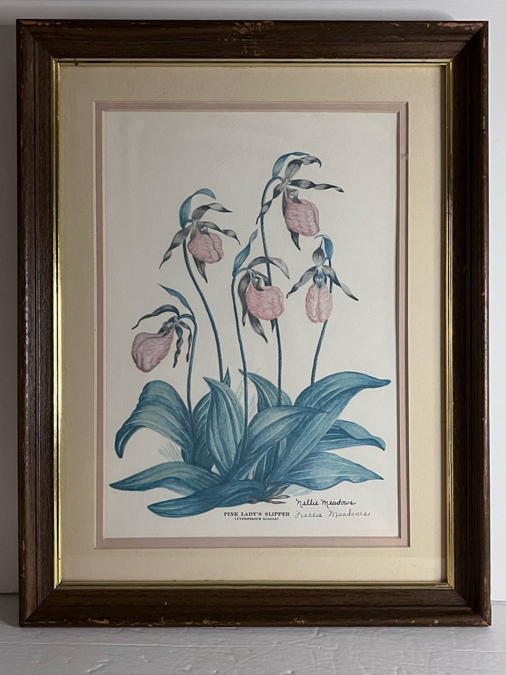 VTG Nellie Meadows Signed Matted Framed Print Pink Ladies Wild Flowers 14”x18”